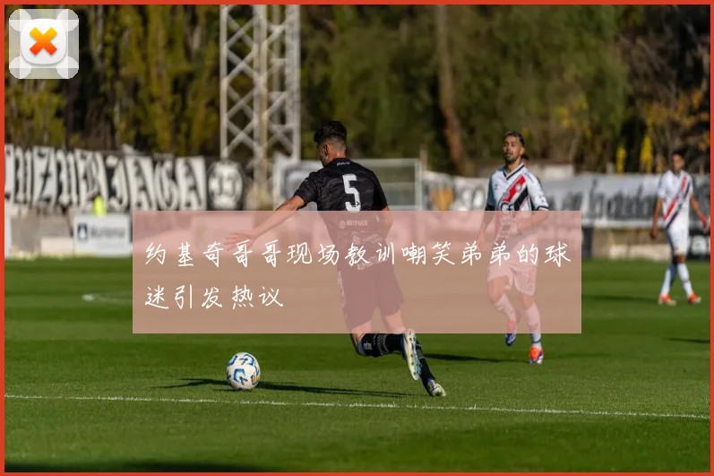 约基奇哥哥现场教训嘲笑弟弟的球迷引发热议