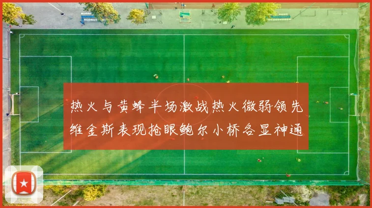 热火与黄蜂半场激战热火微弱领先维金斯表现抢眼鲍尔小桥各显神通